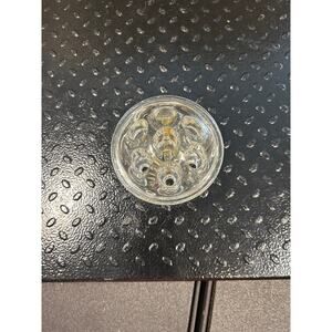 Clear Glass Flower Frog